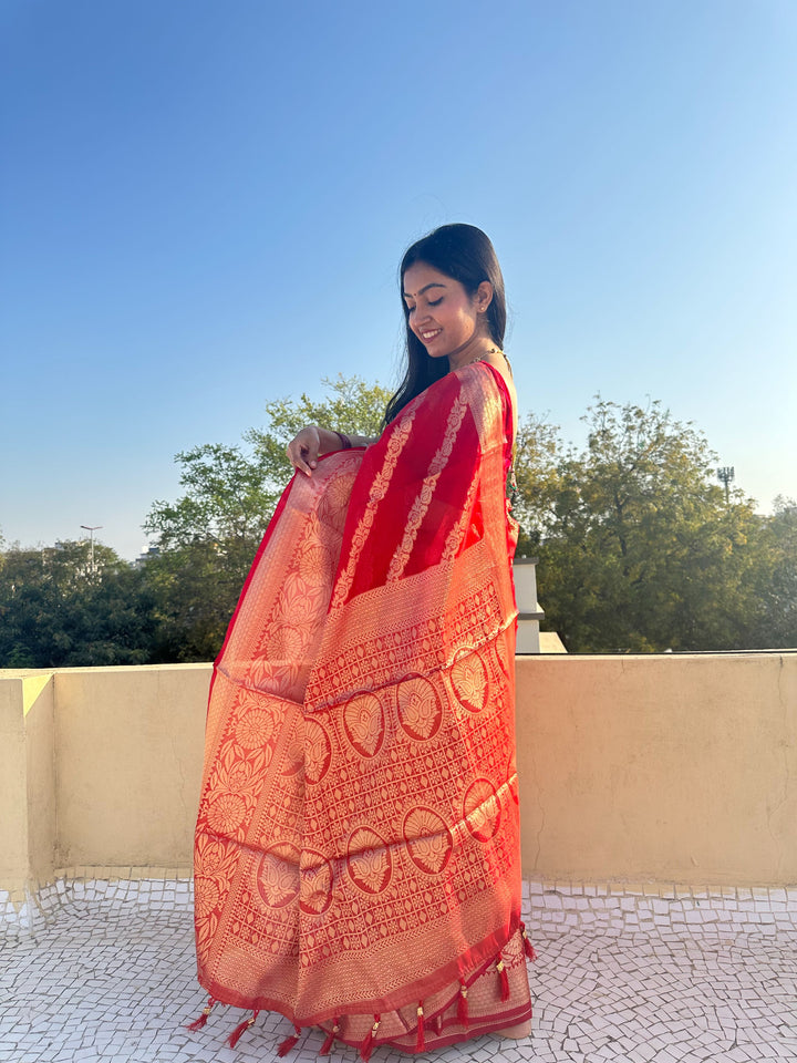 Banarasi Saree